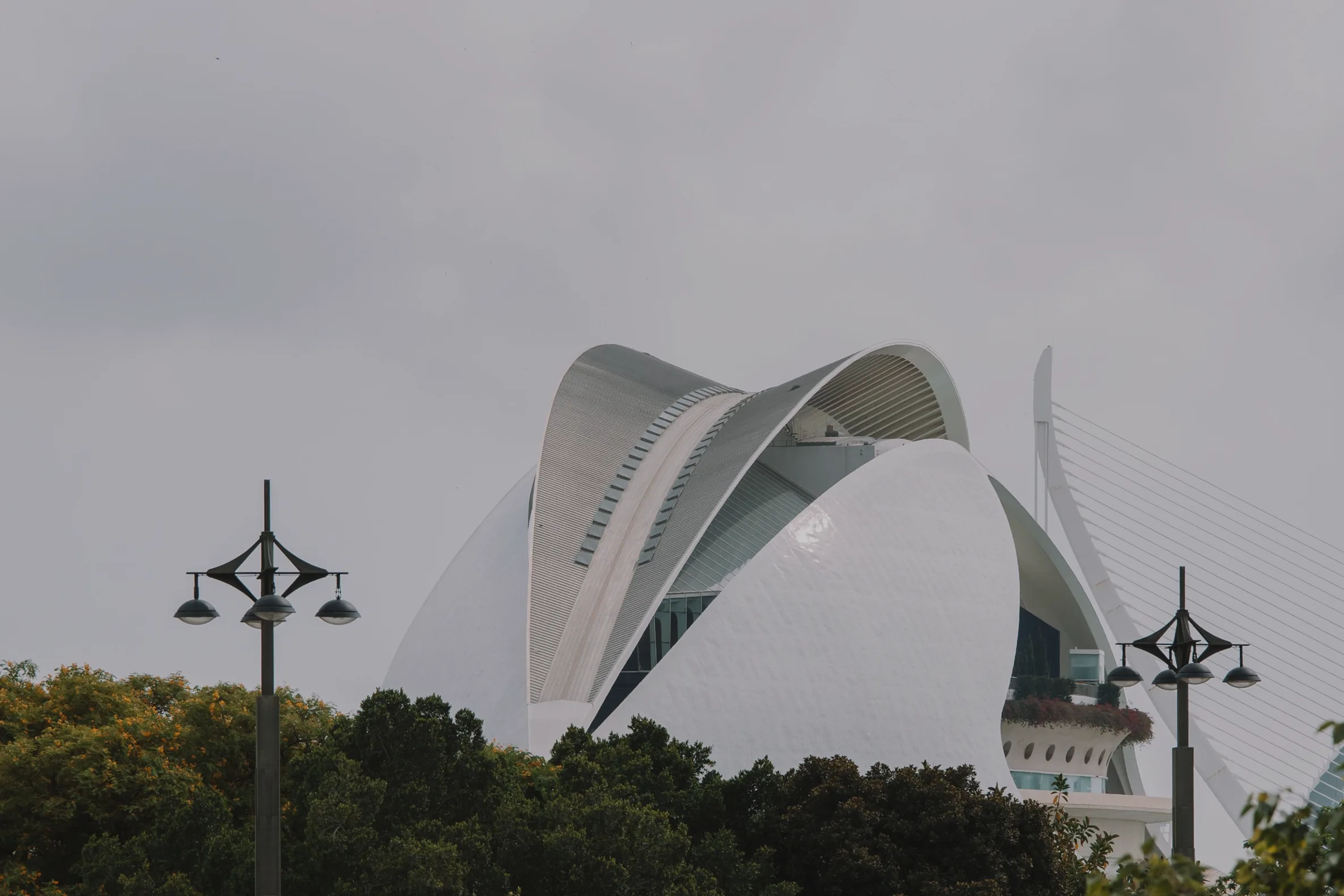 Caso de éxito Staying Valencia con Sesame HR