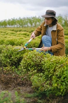 Agricultura